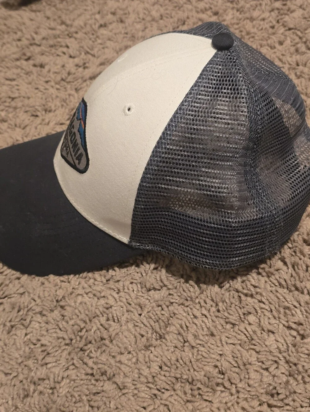 Patagonia Ventura CA Fitz Roy Crest LoPro Trucker Hat Snapback Cap Cream Blue